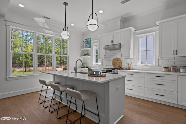 523 Trisail Ter, Wilmington, NC 28412 - kitchen featuring under cabinet range hood, tasteful backsplash, a breakfast bar area, plenty of natural light, and recessed lighting