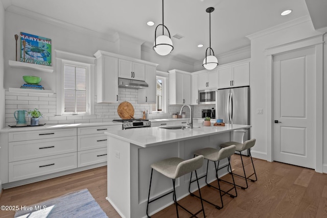 523 Trisail Ter, Wilmington, NC 28412 - kitchen with under cabinet range hood, stainless steel appliances, crown molding, tasteful backsplash, and light wood-style flooring