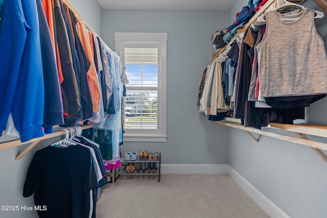 523 Trisail Ter, Wilmington, NC 28412 - walk in closet featuring carpet
