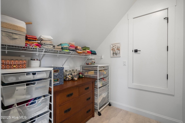 523 Trisail Ter, Wilmington, NC 28412 - view of pantry