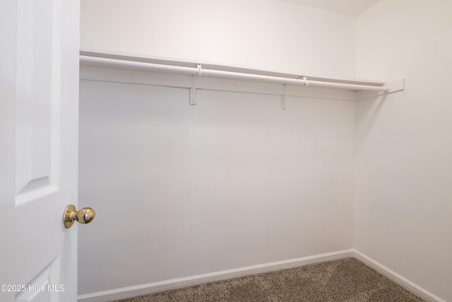 115 Billets Bridge Rd, Camden, NC 27921 - spacious closet featuring carpet