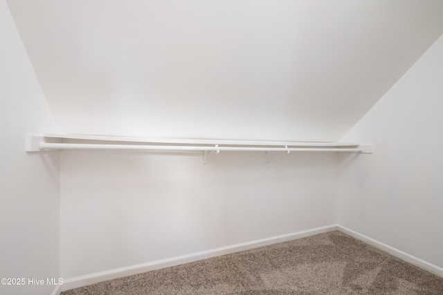 115 Billets Bridge Rd, Camden, NC 27921 - walk in closet with carpet