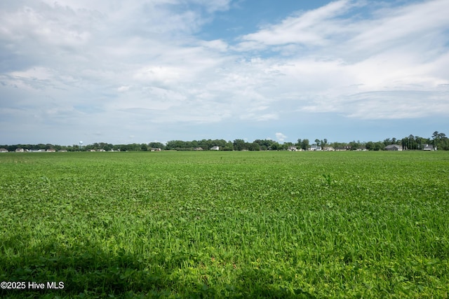 115 Billets Bridge Rd, Camden, NC 27921 - view of undeveloped land with rural landscape