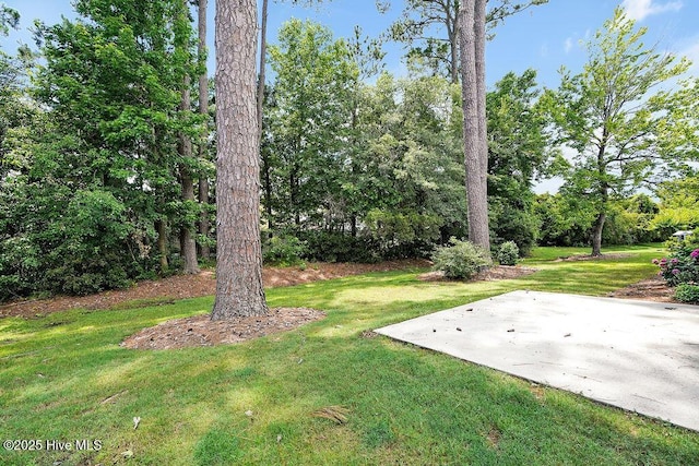 428 Windchime Dr, Wilmington, NC 28412 - view of green lawn with a patio area
