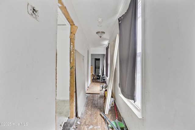 115 Wright St, Wilmington, NC 28401 - hallway with wood finished floors