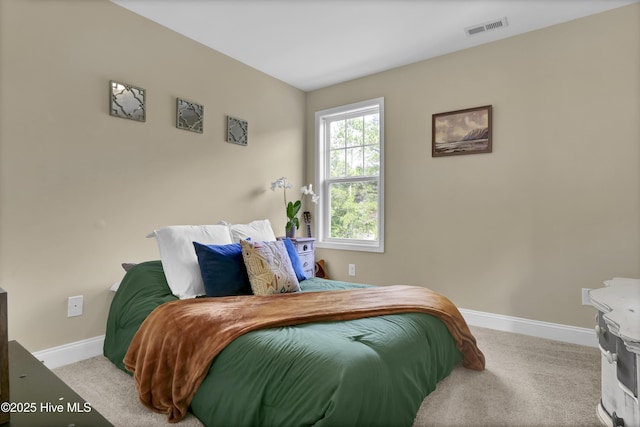 121 Poplar Branch Way, Hampstead, NC 28443 - bedroom with baseboards and carpet