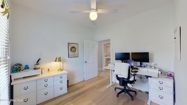 812 Vineyard Dr, New Bern, NC 28562 - office area featuring a ceiling fan, light wood-style floors, and plenty of natural light