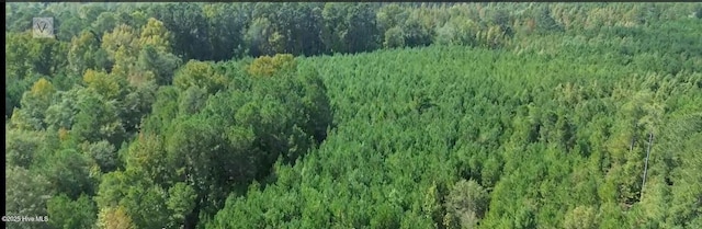 16369 Palmer Rd, Marston, NC 28363