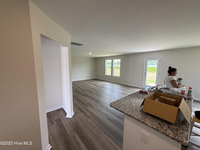 37 Chloe Ct, Selma, NC 27576 - kitchen featuring dark wood finished floors and stone counters