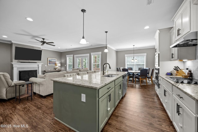28 Winding Trl, Whispering Pines, NC 28327 - kitchen with appliances with stainless steel finishes, under cabinet range hood, dark wood-style flooring, plenty of natural light, and recessed lighting