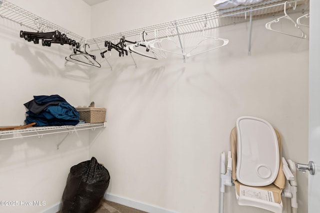 235 Woodlands Way Unit 9, Calabash, NC 28467 - walk in closet with carpet floors