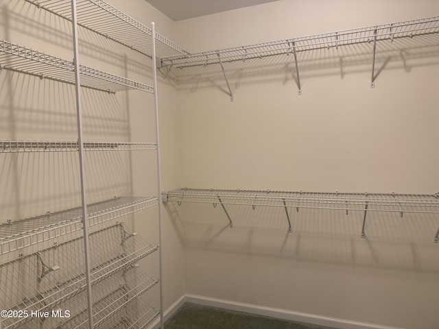 208 Canterwood Ln, New Bern, NC 28562 - view of spacious closet