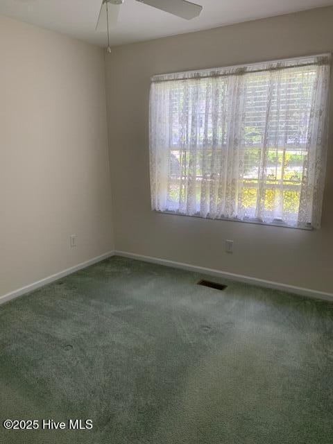 208 Canterwood Ln, New Bern, NC 28562 - carpeted empty room featuring plenty of natural light and a ceiling fan
