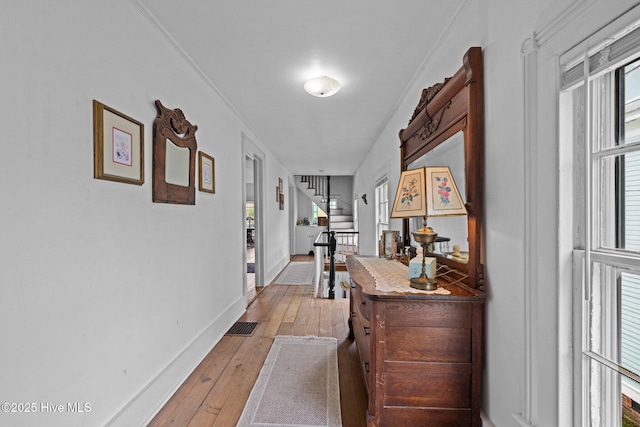 409 Hancock St, New Bern, NC 28560 - hall featuring hardwood / wood-style flooring and healthy amount of natural light