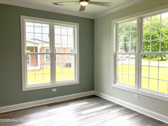 407 King Richard Ct, Jacksonville, NC 28546 - spare room featuring plenty of natural light, crown molding, ceiling fan, and wood finished floors