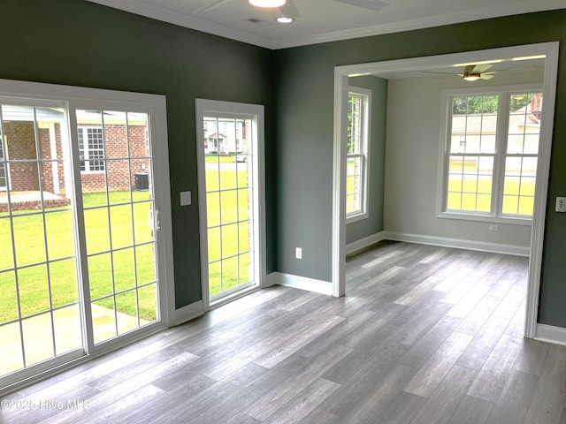 407 King Richard Ct, Jacksonville, NC 28546 - entryway featuring a ceiling fan, wood finished floors, and crown molding