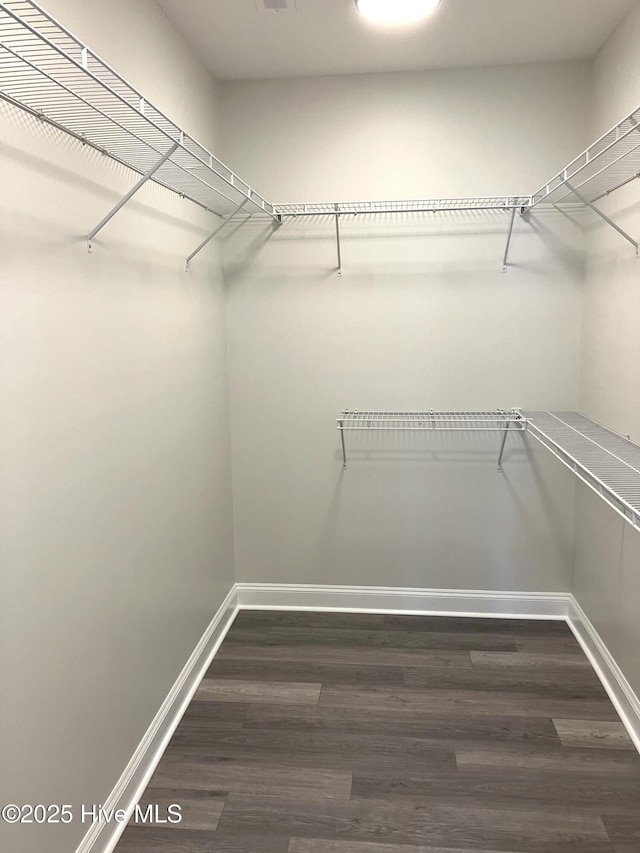 407 King Richard Ct, Jacksonville, NC 28546 - walk in closet with wood finished floors