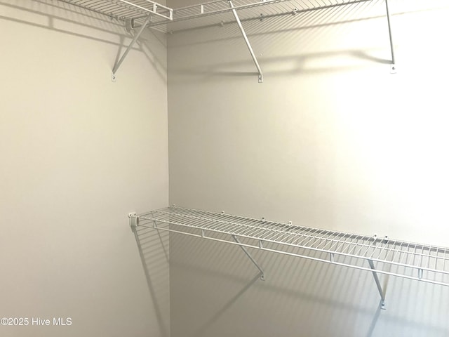 407 King Richard Ct, Jacksonville, NC 28546 - view of walk in closet