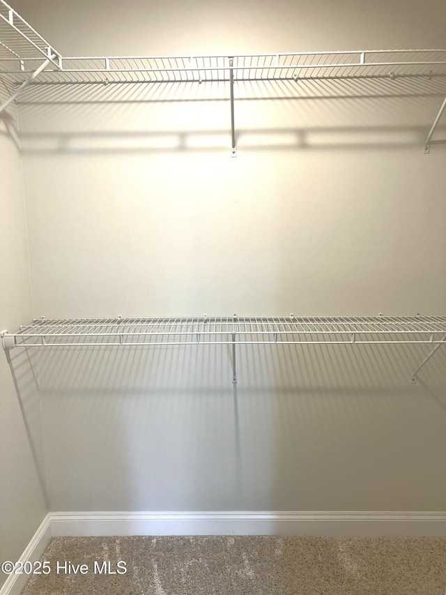 407 King Richard Ct, Jacksonville, NC 28546 - view of walk in closet
