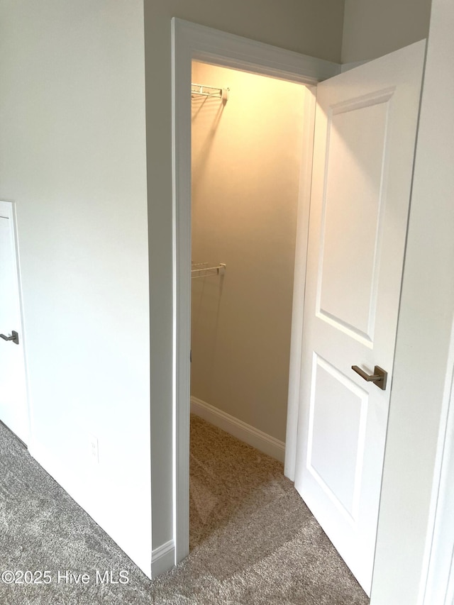 407 King Richard Ct, Jacksonville, NC 28546 - hallway featuring carpet floors and baseboards