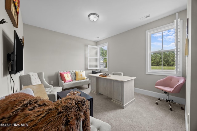 184 Twining Rose Ln, Holly Ridge, NC 28445 - office space with light carpet and baseboards