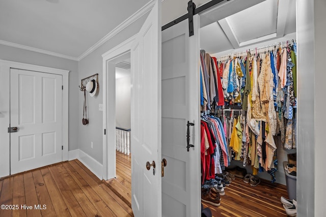 209 E Main St, Washington, NC 27889 - walk in closet with wood-type flooring