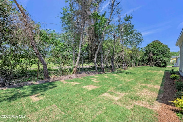5988 Gray Squirrel Path, Southport, NC 28461 - view of green lawn