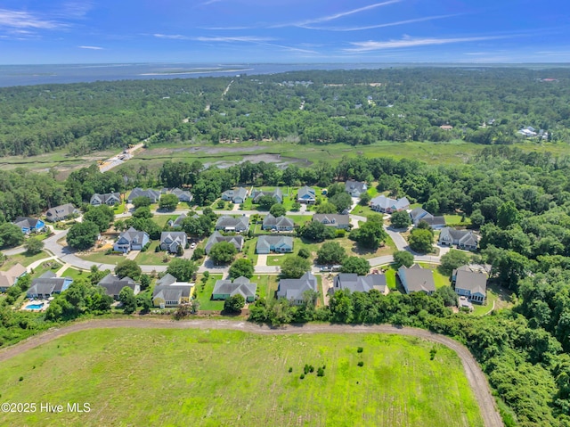 5988 Gray Squirrel Path, Southport, NC 28461 - aerial view of residential area with a forest