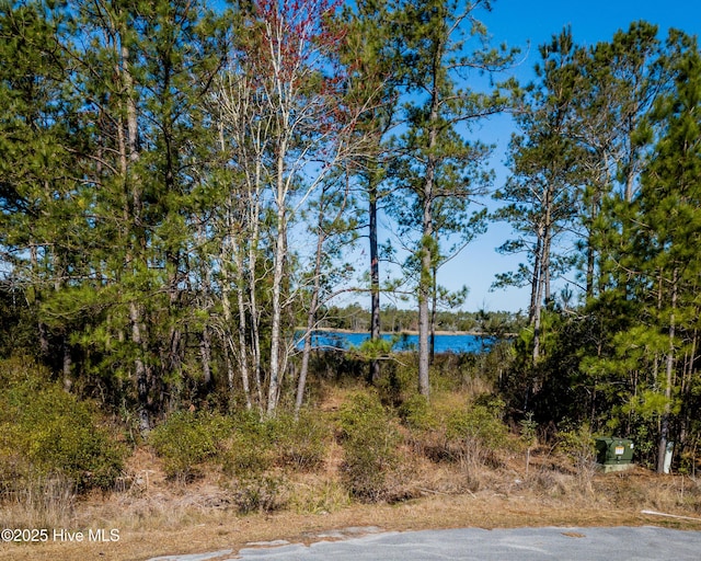 859 Winchester Way Unit 20, Merritt, NC 28556