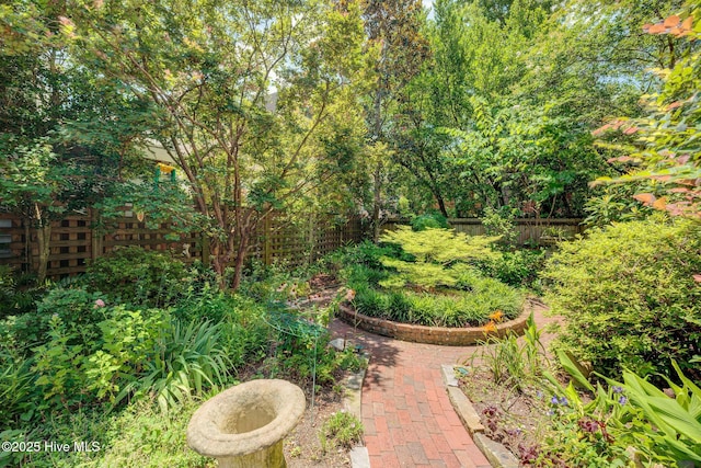 214 Nun St, Wilmington, NC 28401 - view of yard