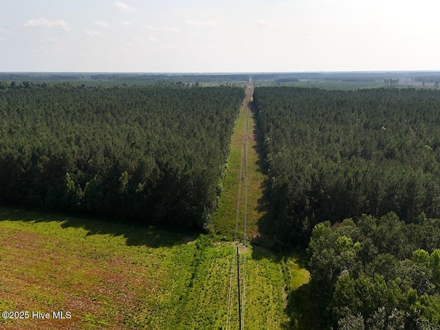 TRACT1 Barbee Rd, Richlands, NC 28574
