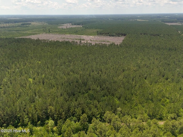 TRACT1 Barbee Rd, Richlands, NC 28574