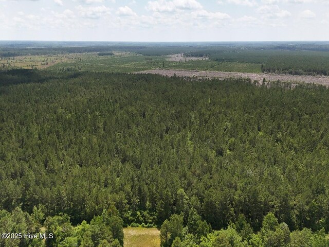 TRACT1 Barbee Rd, Richlands, NC 28574