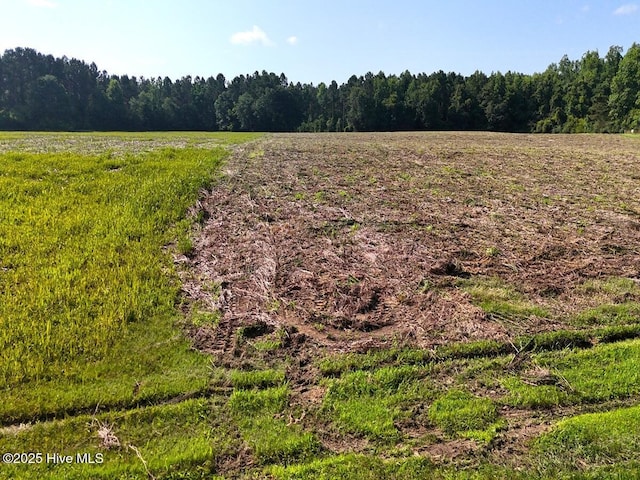 TRACT1 Barbee Rd, Richlands, NC 28574