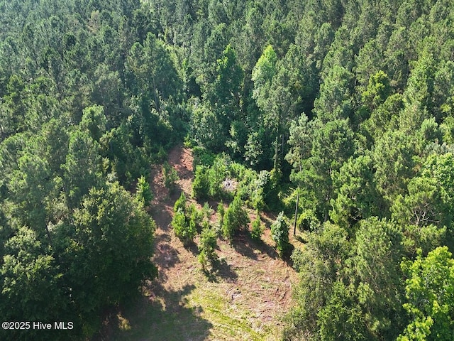 TRACT1 Barbee Rd, Richlands, NC 28574