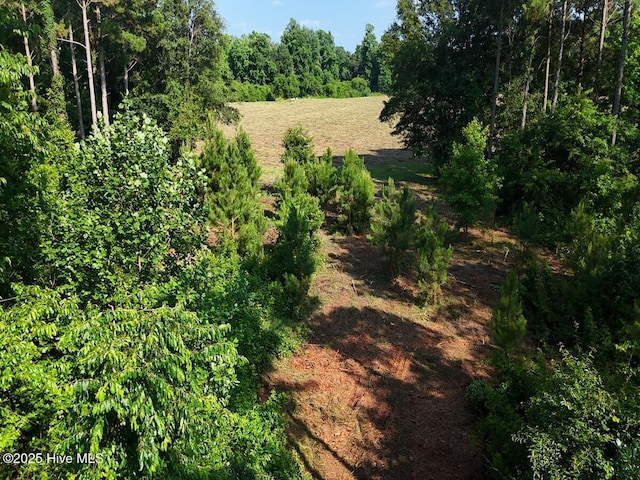 TRACT1 Barbee Rd, Richlands, NC 28574
