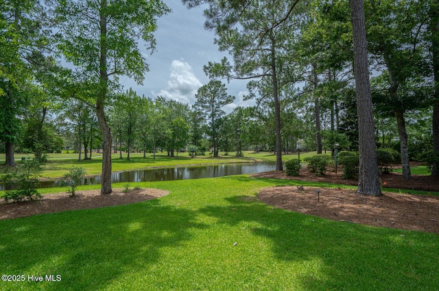 545 Gladstone Cir SW, Ocean Isle Beach, NC 28469 - view of green lawn with a water view