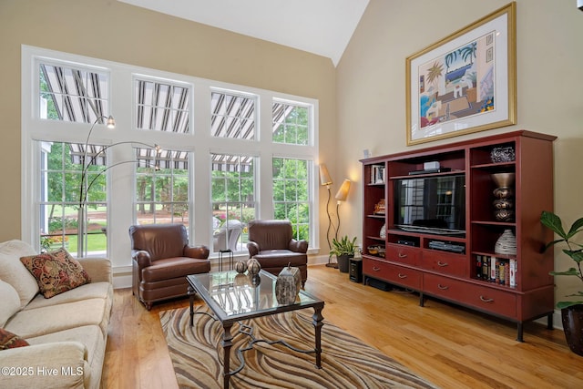 220 October Glory Dr, Wallace, NC 28466 - living area featuring light wood-type flooring and high vaulted ceiling