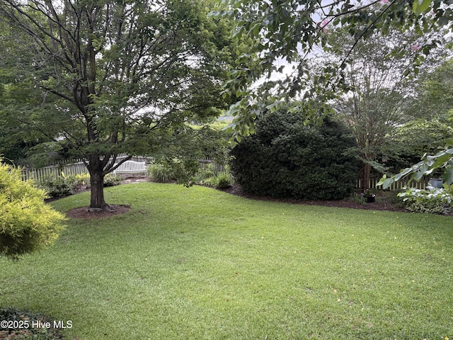 1009 Colleton Way, New Bern, NC 28562 - view of yard