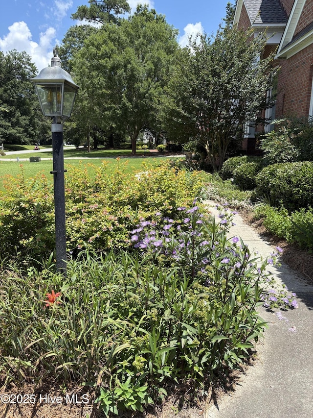 1009 Colleton Way, New Bern, NC 28562 - view of yard with view of wooded area