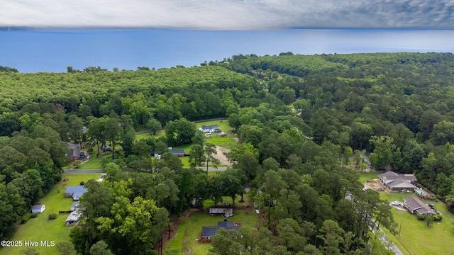 84 White Pine Rd, Lake Waccamaw, NC 28450 - aerial view of a forest