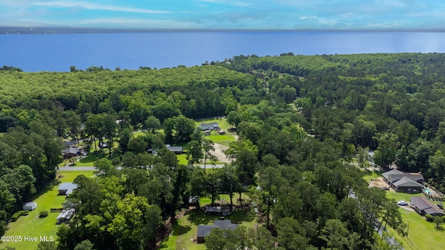 84 White Pine Rd, Lake Waccamaw, NC 28450 - aerial view of a large body of water