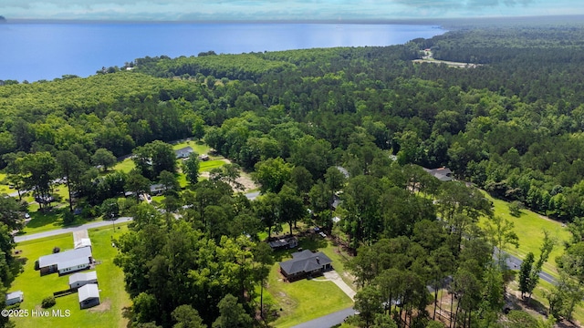 84 White Pine Rd, Lake Waccamaw, NC 28450 - bird's eye view of a heavily wooded area and a nearby body of water