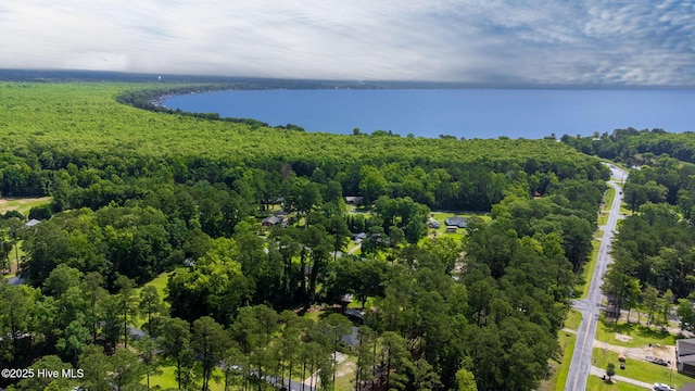 84 White Pine Rd, Lake Waccamaw, NC 28450 - bird's eye view of a forest and a nearby body of water