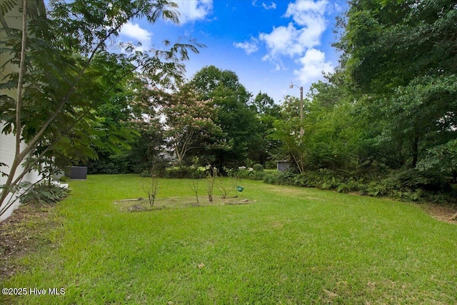 527 W College St, Warsaw, NC 28398 - view of green lawn