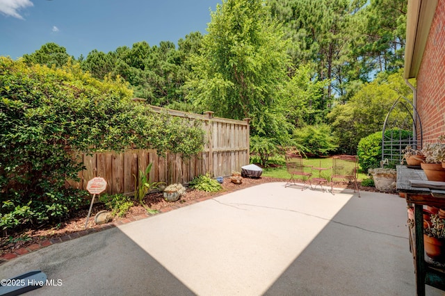 4929 Lake Renaissance Cir, Wilmington, NC 28409 - view of patio