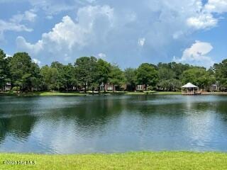 4929 Lake Renaissance Cir, Wilmington, NC 28409 - water view