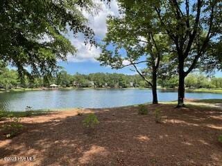 4929 Lake Renaissance Cir, Wilmington, NC 28409 - water view