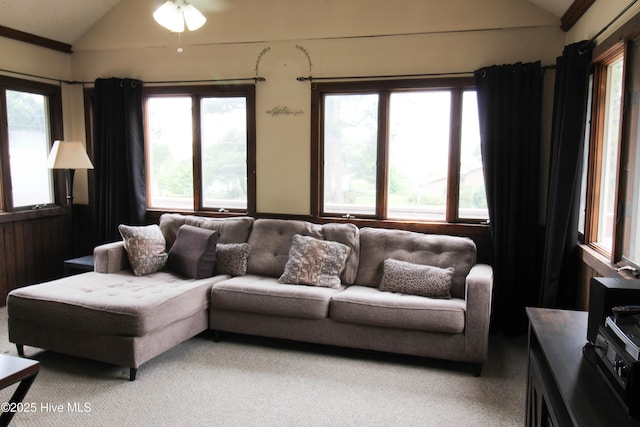 507 Seaview Dr, Edenton, NC 27932 - living room featuring vaulted ceiling and carpet