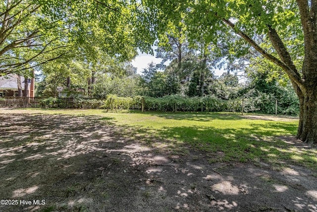 106 E New Hope Rd, Goldsboro, NC 27534 - view of yard